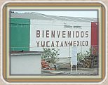 IMG_2510