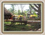 IMG_2527
