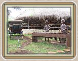 IMG_2560