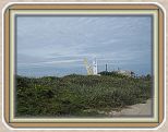 IMG_2611