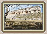 IMG_6907