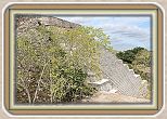 IMG_6997