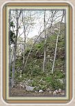 IMG_7038