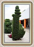 IMG_7083