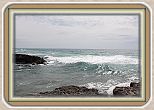 IMG_7206