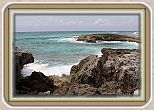 IMG_7222