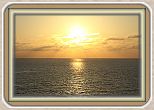 IMG_7317