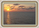 IMG_7355