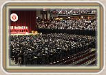 IMG_6593