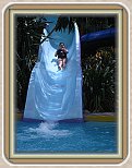 IMG_2219