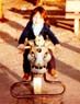 Me on Horse in Park