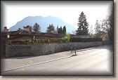 IMG_6049