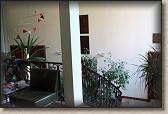 IMG_6054