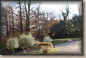 IMG_6083