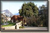 IMG_6084