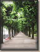 IMG_6709
