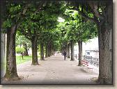 IMG_6711