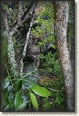 DSC03369