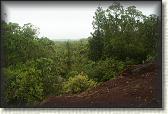 DSC03388