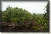 DSC03392