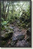 DSC03405