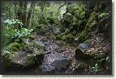 DSC03406