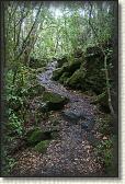 DSC03407