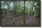 DSC03417