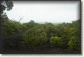 DSC03440