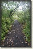 DSC03442