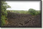 DSC03455