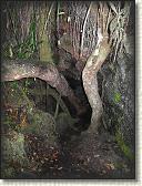 IMG_0114