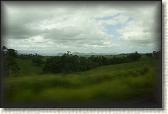 DSC00084