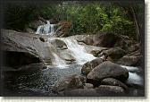 DSC00184