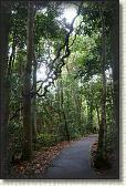 DSC00337