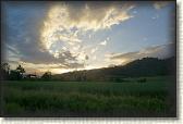 DSC00407