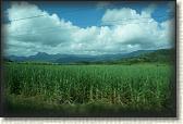 DSC00460
