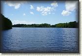 DSC00501