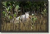 DSC00505