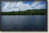 DSC00516