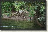DSC00535