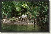 DSC00544