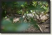 DSC00555