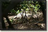 DSC00564