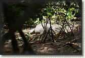 DSC00565
