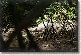 DSC00566