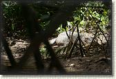 DSC00567