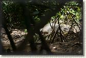 DSC00568