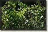 DSC00569