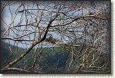 DSC00606